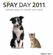 Spay Day 2011