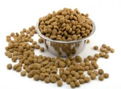 A bowl of dog food