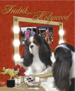 silly picture of a dog looking into a beauty mirror like in old hollywood