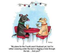 Comic of two dogs talking. Comic Reads "My plans for the forth aren't finalized yet but I'm either cowering under the bed or digging a hole through the tub...and you?"