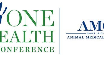 amc one health conference