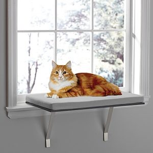 A cat lying on a solarium