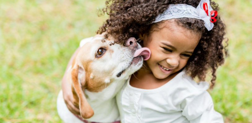 Dog licking face of child