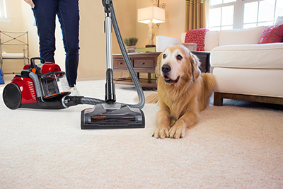 A dog next to a vacuum cleaner