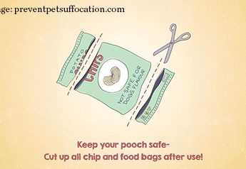 Keep your pooch safe -- cut up all chip and food bags after use!