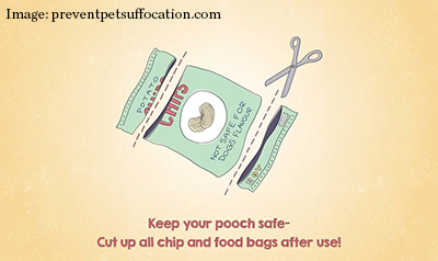 Keep your pooch safe -- cut up all chip and food bags after use!