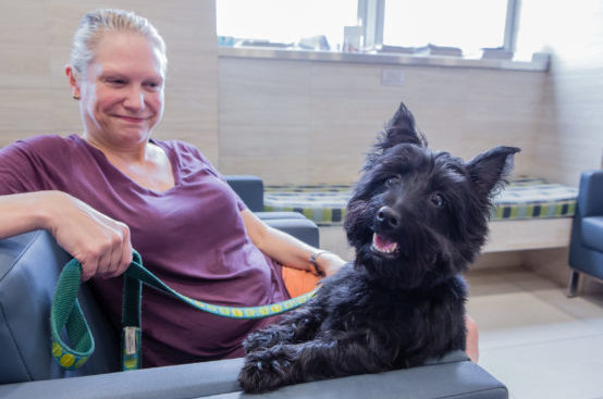 A woman sits on a chair in the waiting room with her happy dog