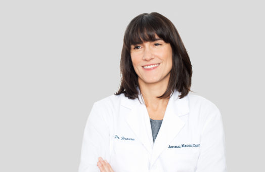 Dr. Heather Brausa of the Animal Medical Center in New York City