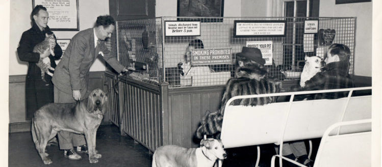 Pet owner checking in dog at reception desk