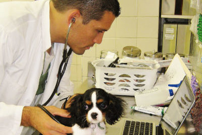 The Animal Medical Center's Dr. Doug Palma examines a dog with a stethoscope