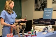 A medical professional and a dog stand at a table at a pet health event
