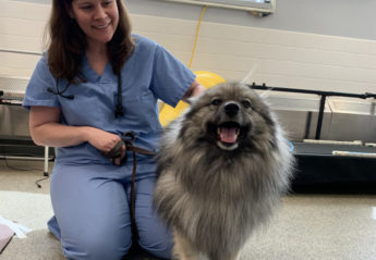 A veterinary professional with a happy Keeshond
