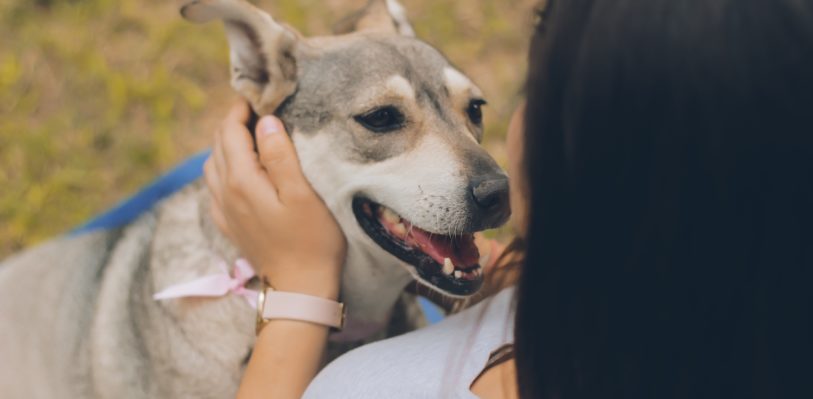 A woman pets a smiling dog