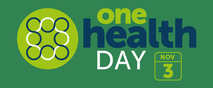 One Health Day logo