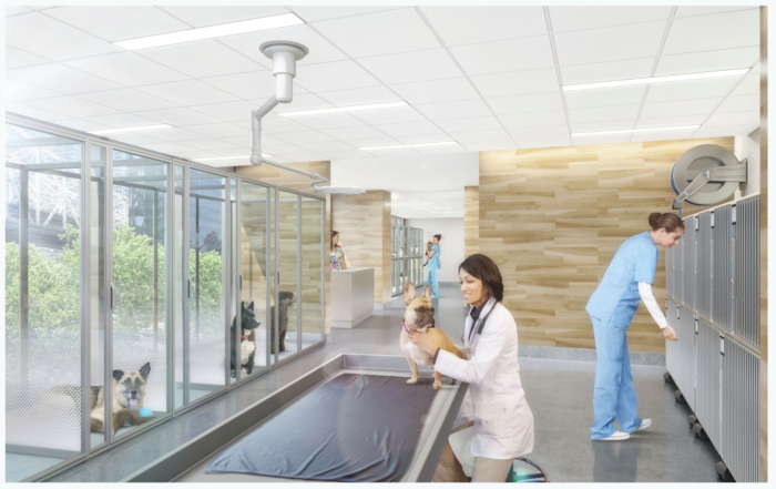 A rendering of of the new special care unit at the Animal Medical Center