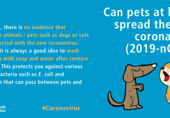Infographic explaining that dogs and cats are not at risk of infection by the Wuhan coronavirus