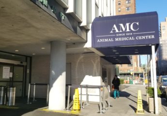 The front entrance to the Animal Medical Center of New York City