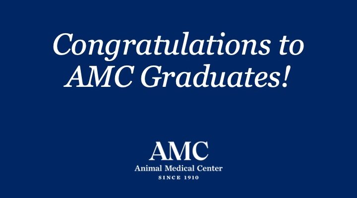 A message that reads "Congratulations to AMC Graduates"