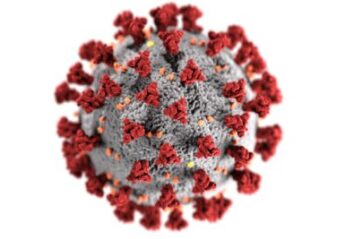 A microscopic view of a SARS-CoV-2 virus