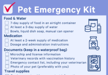A pet emergency kit checklist