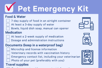 A pet emergency kit checklist