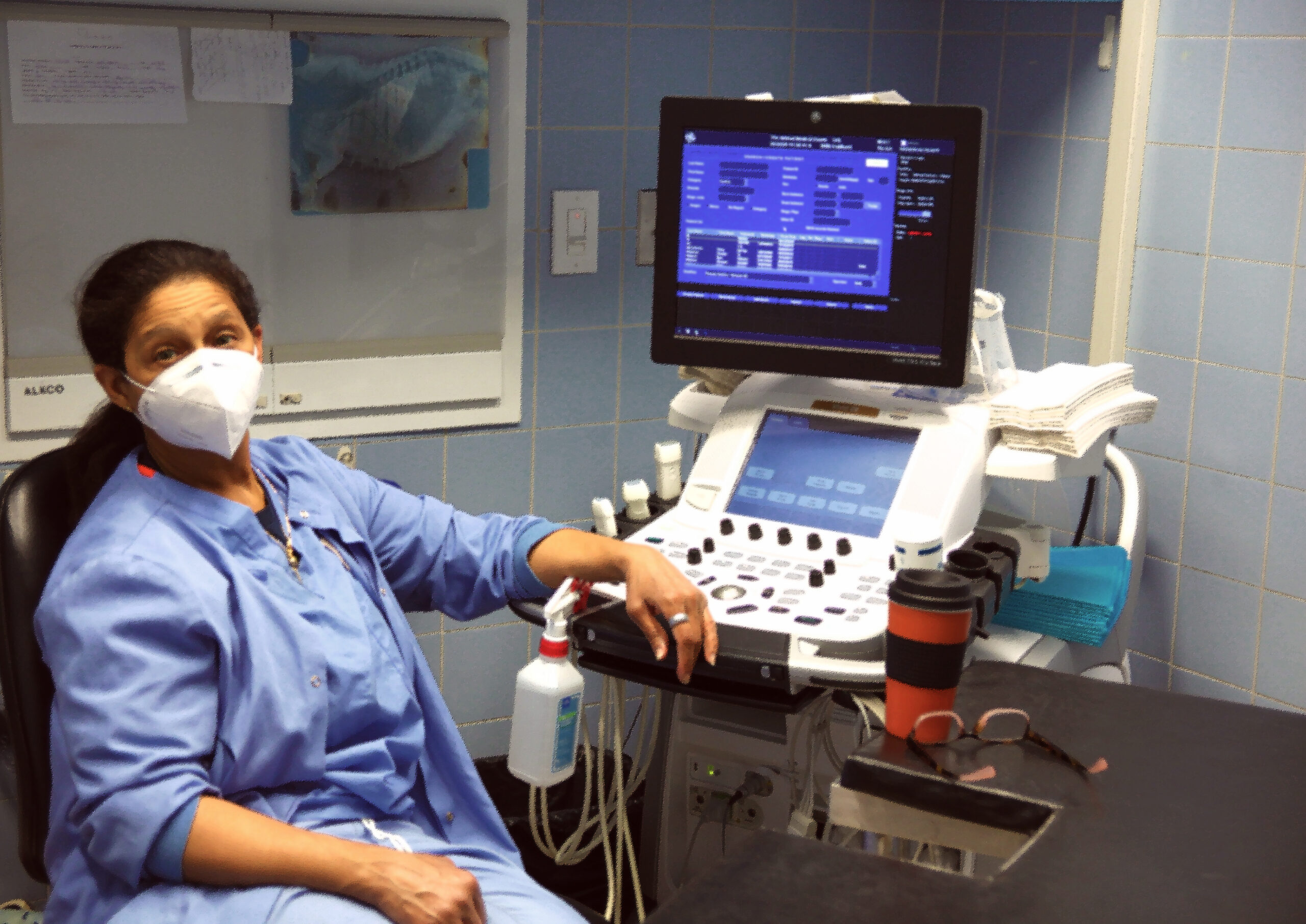 A masked veterinary professional sits at an echocardiogram machine