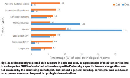A graph showing skin cancer rates in dogs and cats