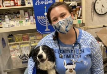 A veterinarian and a dog celebrate Hanukkah