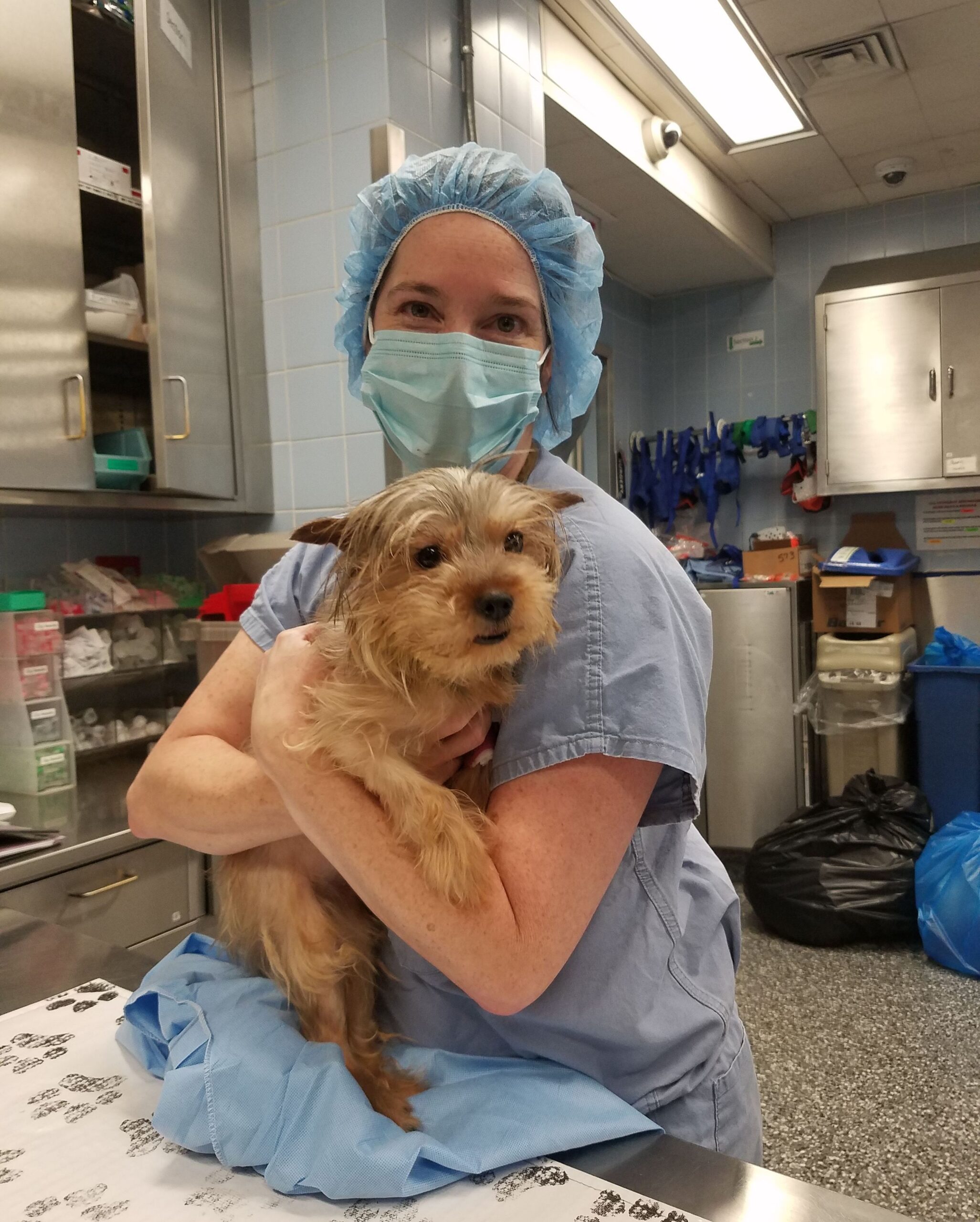 A veterinary professional hugging a dog