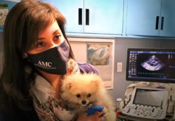 A veterinarian with a puppy
