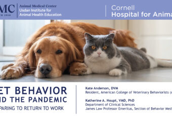 cover of pet behavior presentation