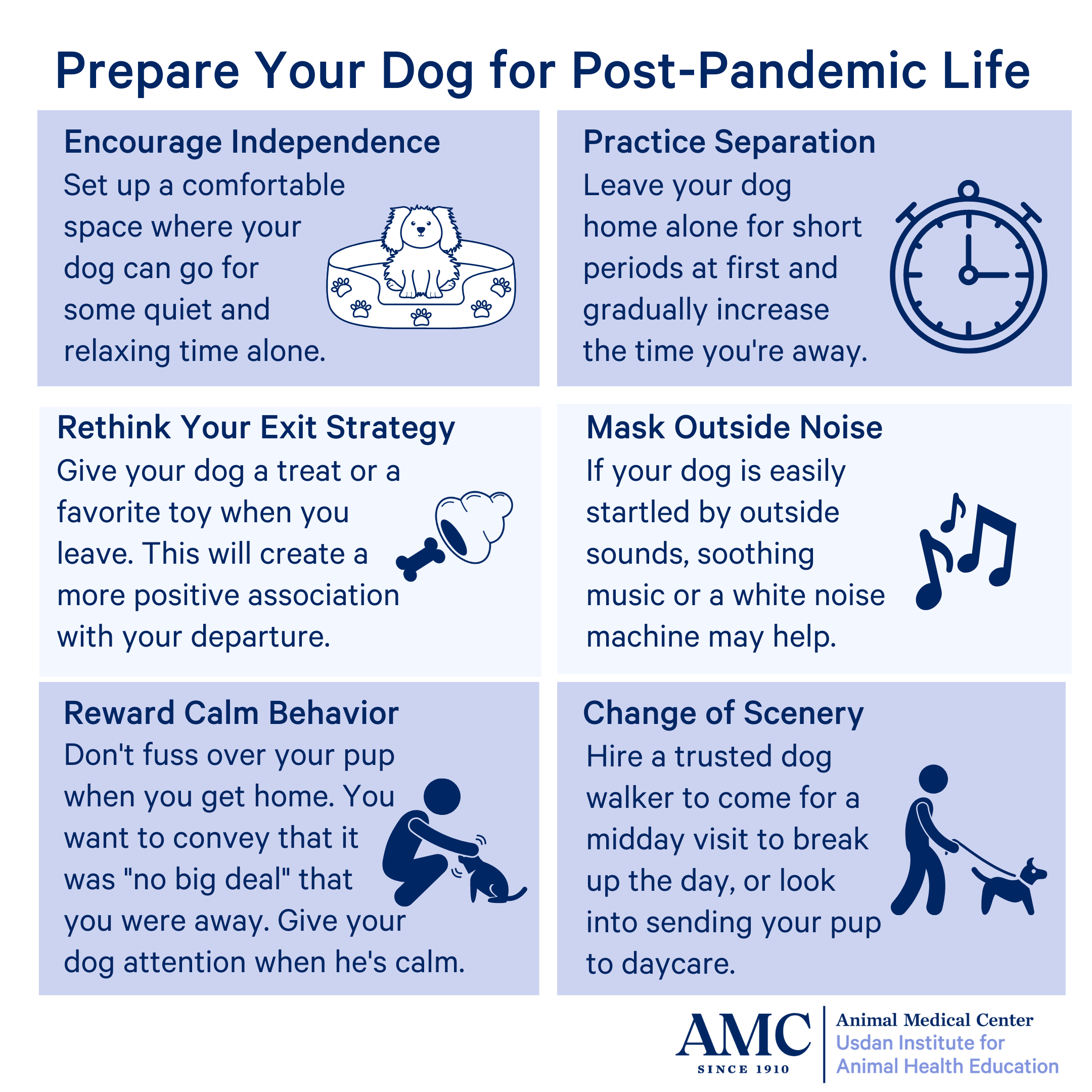 post-pandemic life infographic