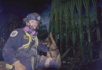 A search and rescue dog and its handler at Ground Zero