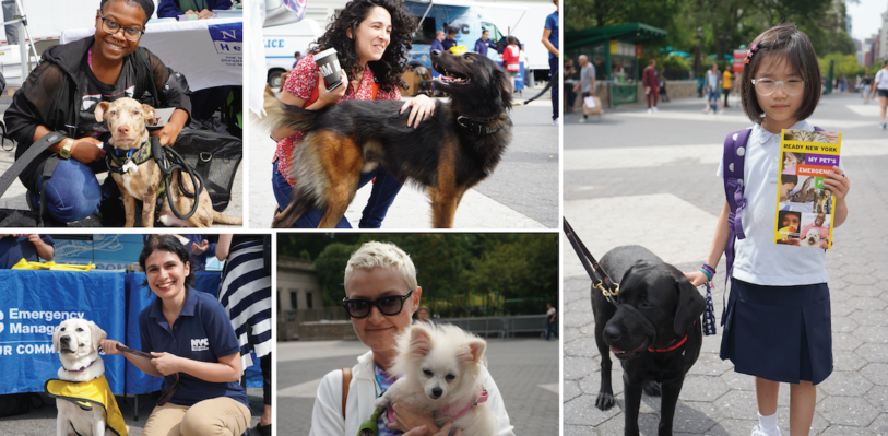Collage of people and dogs and the Pet and Service Animals Fair
