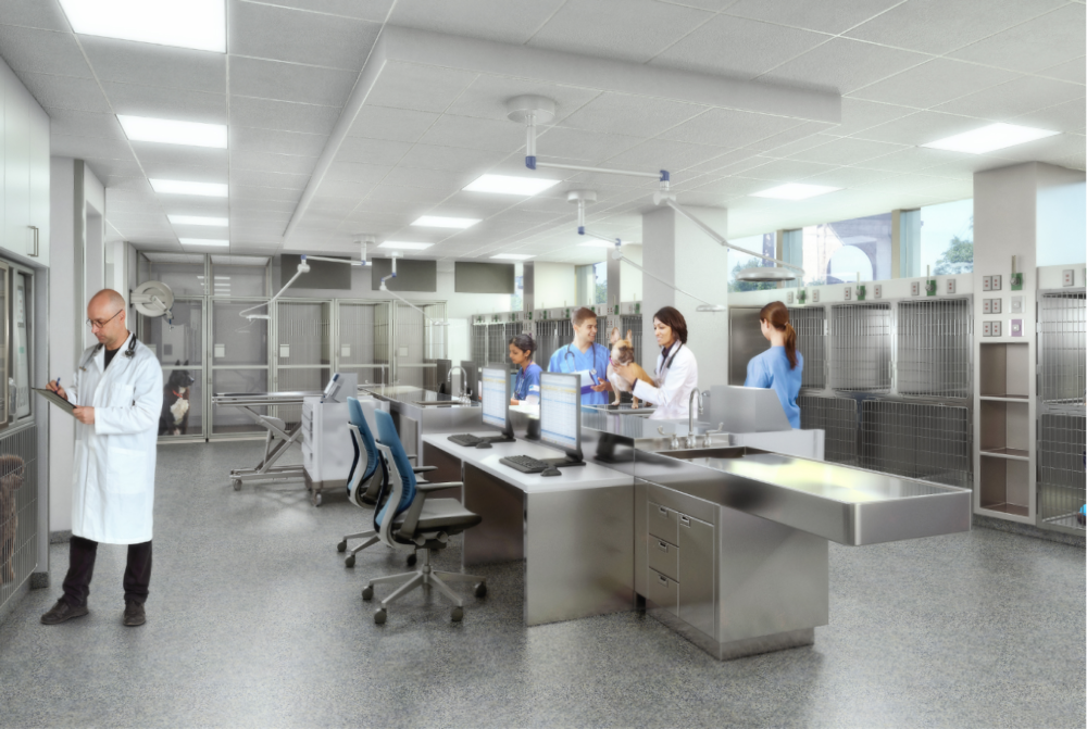 A rendering of the new Intensive Care Unit at the Animal Medical Center