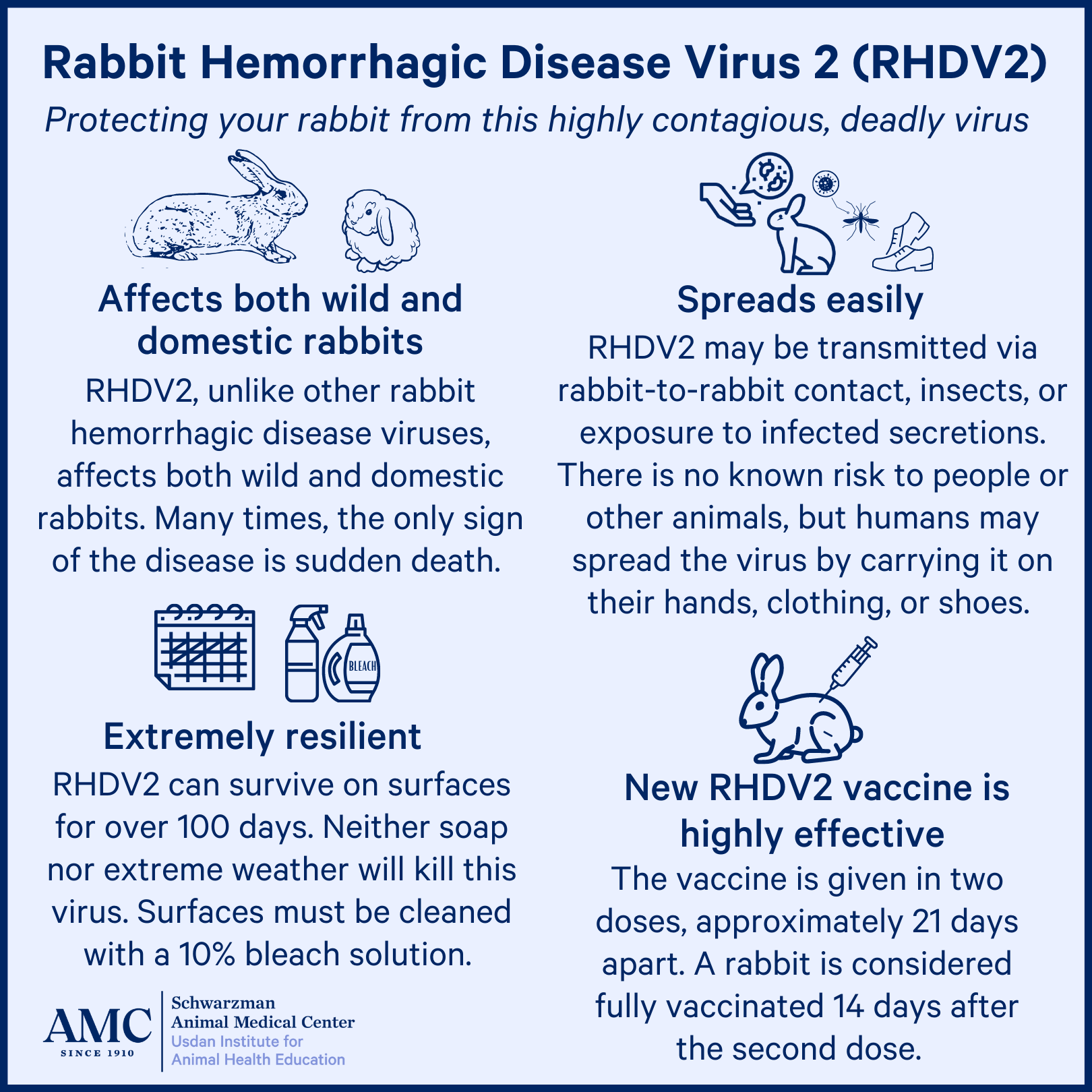 infographic about Rabbit hemorrhagic disease virus 2