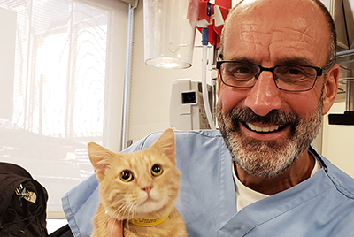 Veterinarian with orange cat