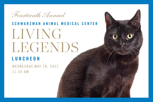 Fourteenth Annual Schwarzman Animal Medical Center Living Legends Luncheon: Wednesday, May 18, 2022, 11:30am