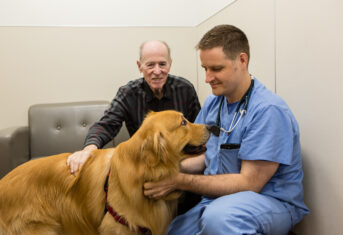 A veterinarian with a dog and the dog's owner