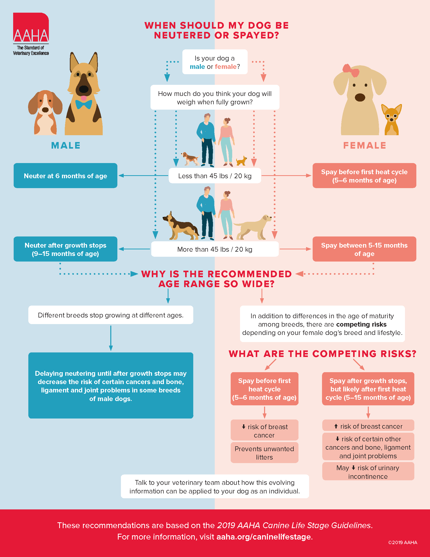 Infographic: Canine Life Stage Spay & Neuter Recommendations AAHA