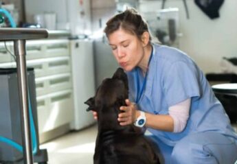 A veterinary professional kissing a dog