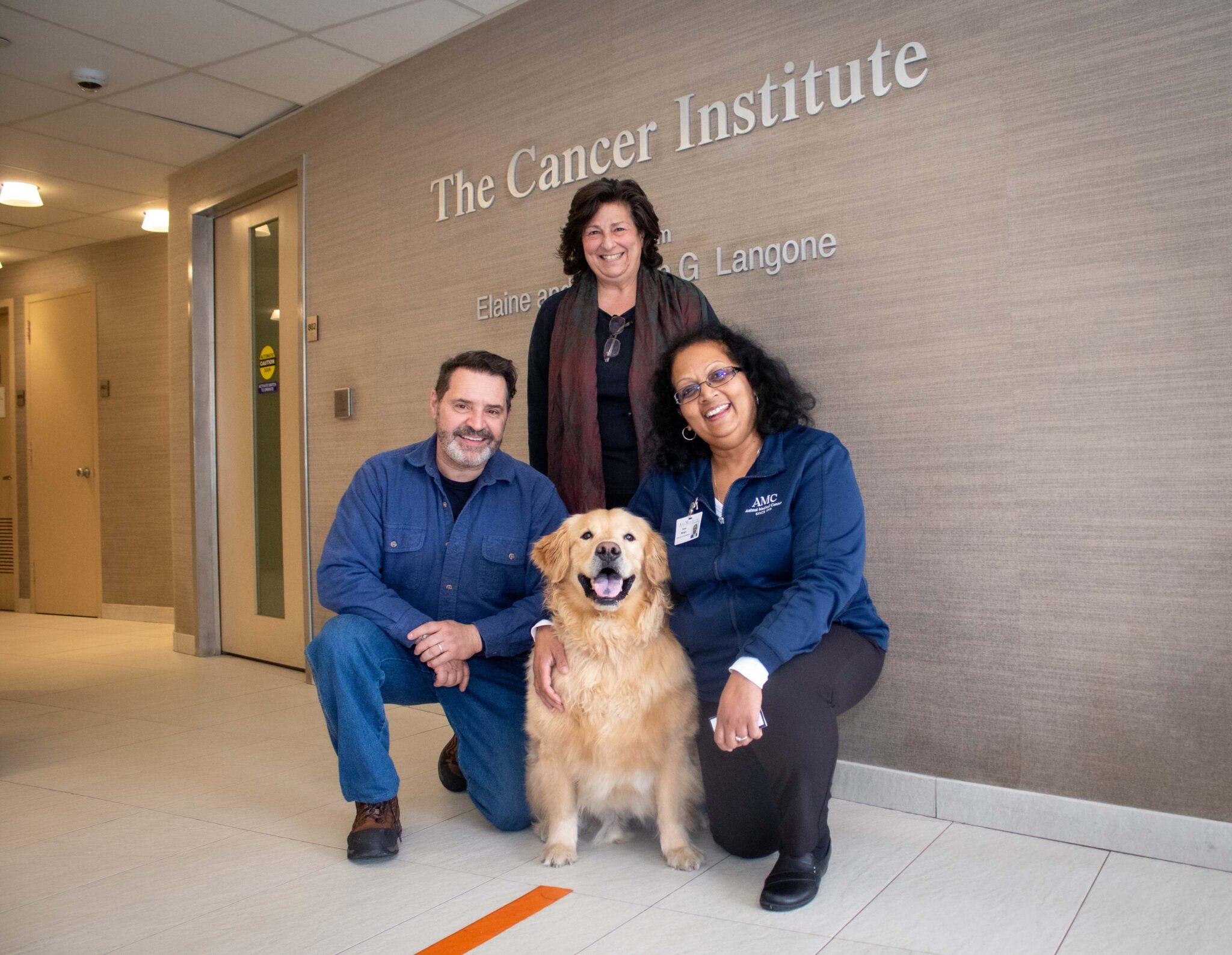 A dog at AMC's Cancer Institute