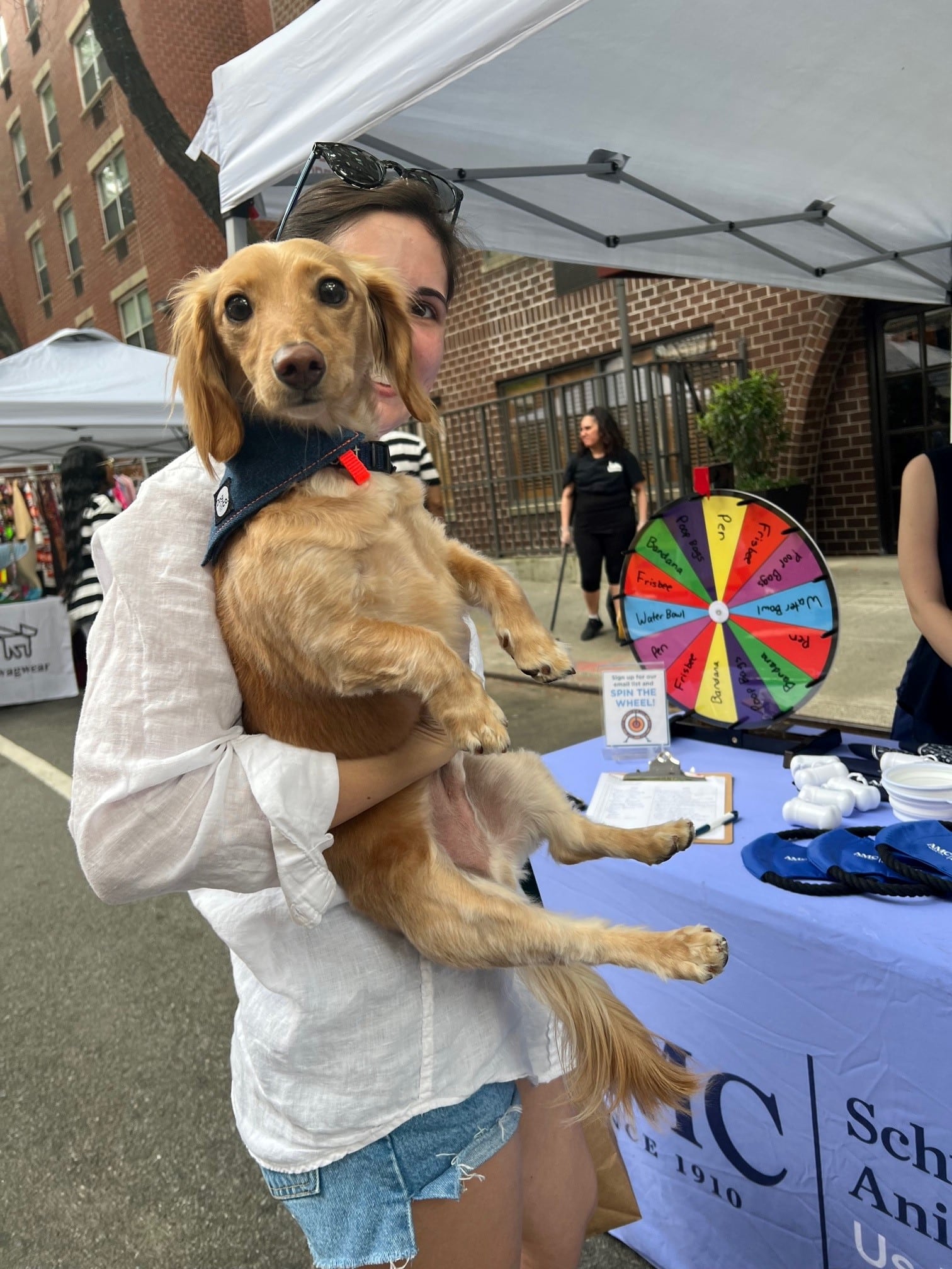 Owner holding up her dog at Muddy Paws Block Party.