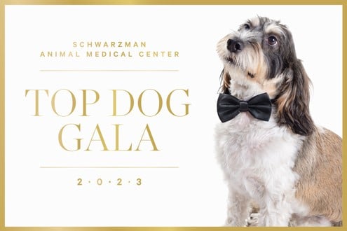 Schwarzman Animal Medical Center Top Dog Gala 2023