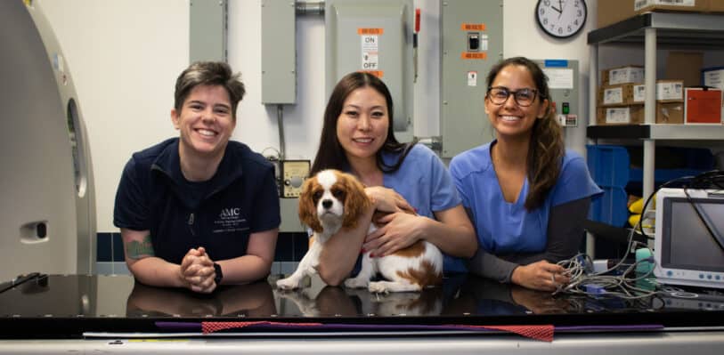 Veterinary professionals with a small dog