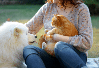 Owner holding their cat and petting their dog while sitting outside.