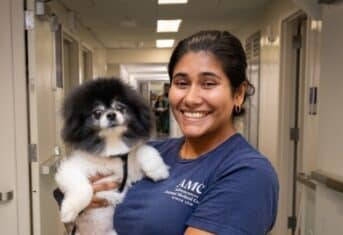 A veterinary professional with a small dog