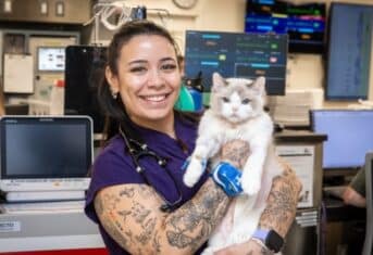 A licensed veterinary technician with a cat