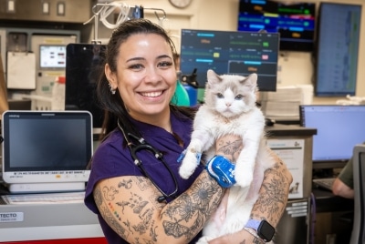 A licensed veterinary technician with a cat